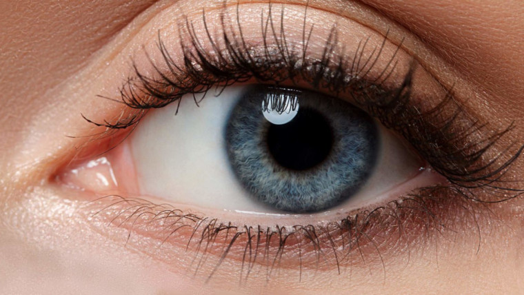 Виды глазных заболеваний