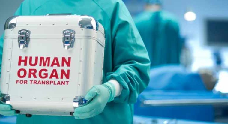 Трансплантация органов в Испании