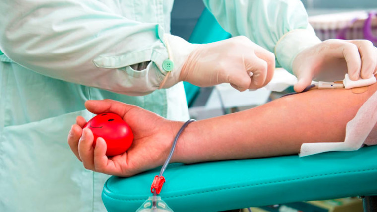 Статистика количества доноров крови в Испании поражает