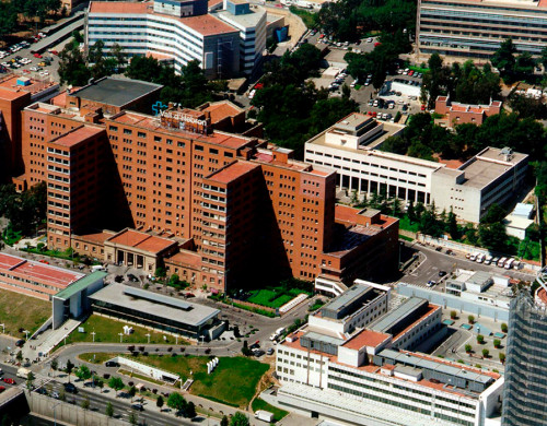 В Барселоне успешно применены новые хирургические методы лечения рака поджелудочной железы